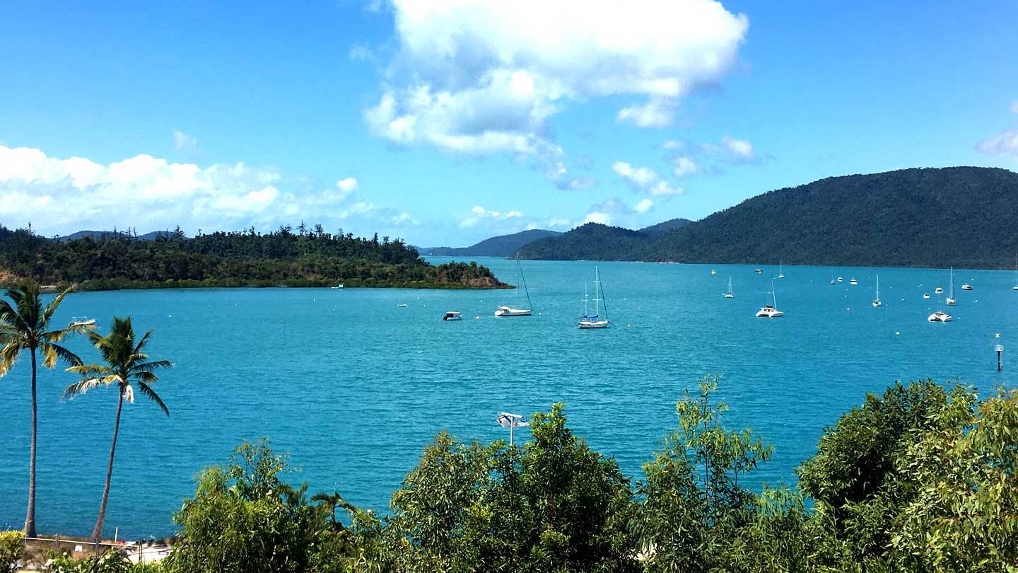 Airlie Beach Glass Bottom Boat Tour