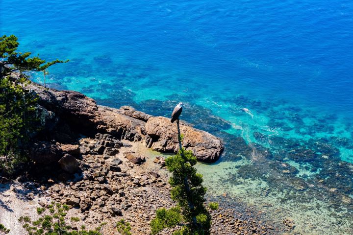a close up of a rock next to a body of water