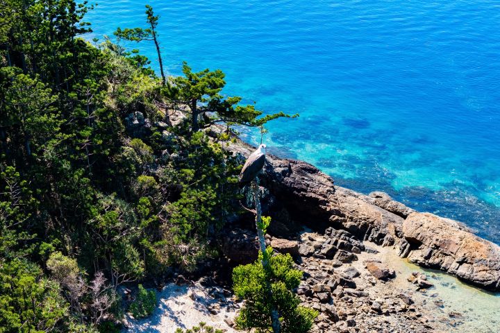 a body of water surrounded by trees