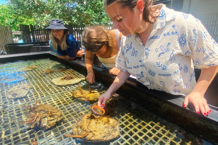 a child looking at the camera