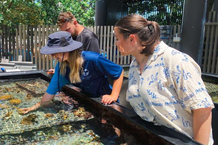 marine biologist showing guests the island's coral nursery
