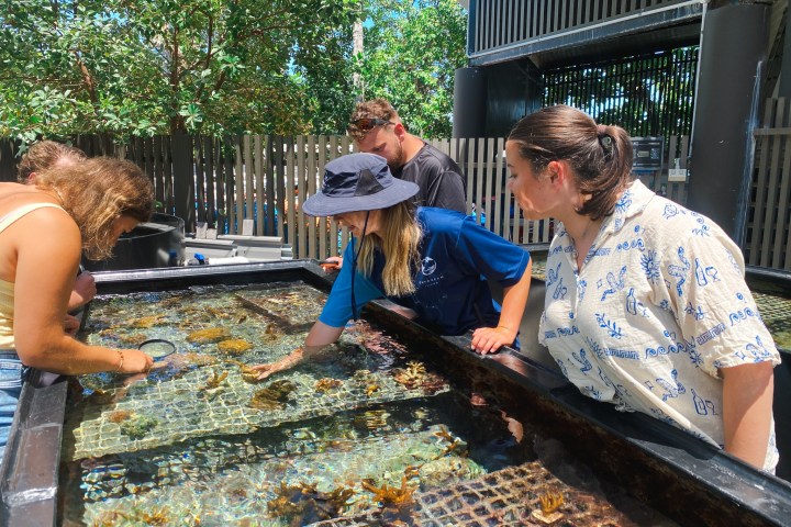a group of people sitting at a zoo