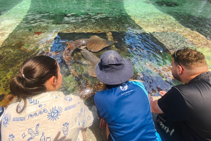a group of people in a pool of water